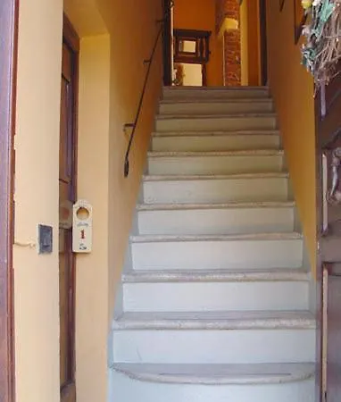 Vecchia 萨尔扎纳